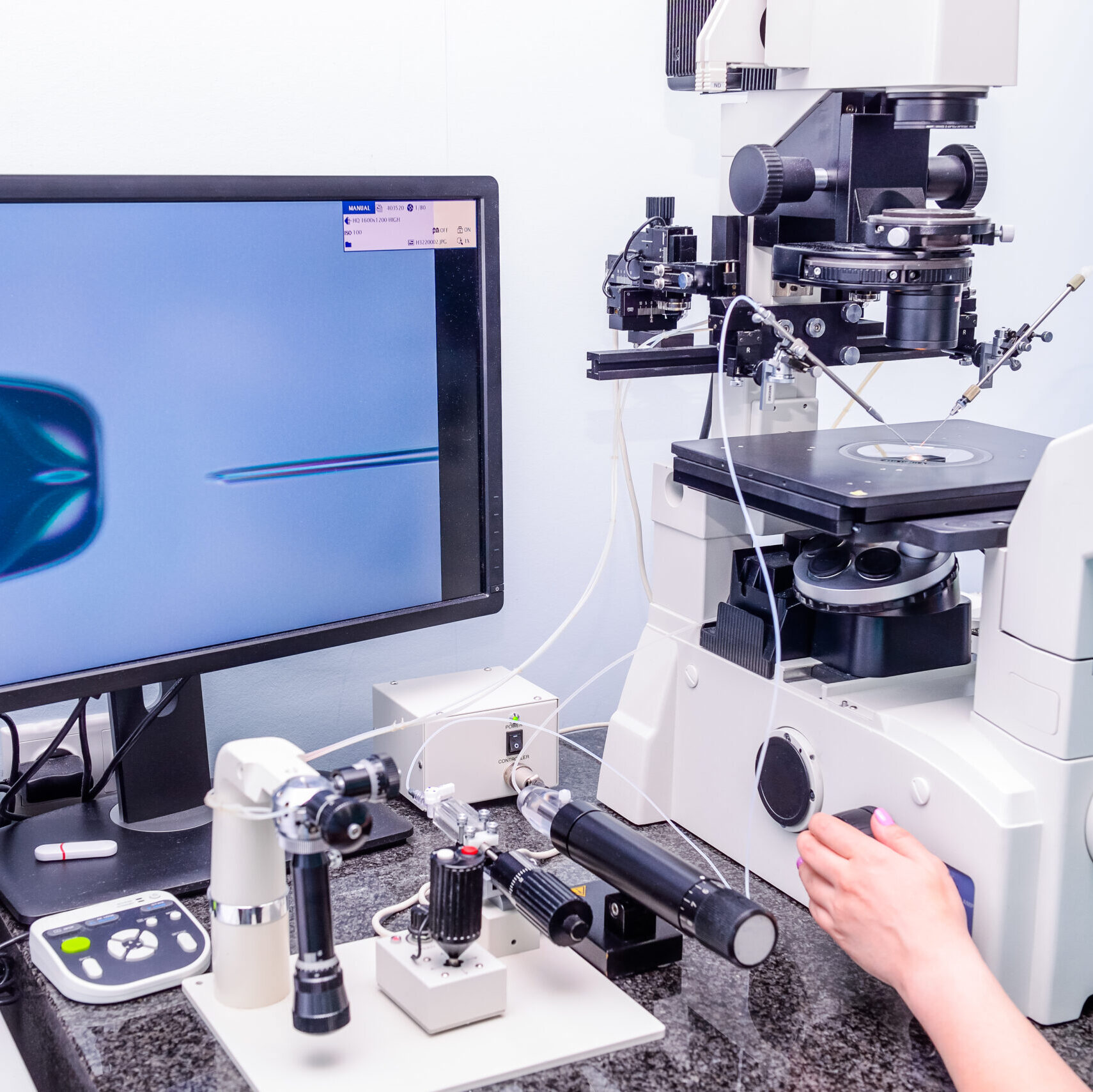 Dr. Glatstein Publishes Research on AI in the IVF Lab