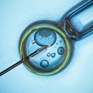 Leading the Way With IVF Technology